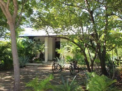 Casa Palmera